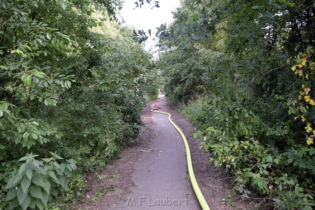 Waldbrand Koeln Hoehenhaus Hoehenfelder Mauspfad P162.JPG - Miklos Laubert